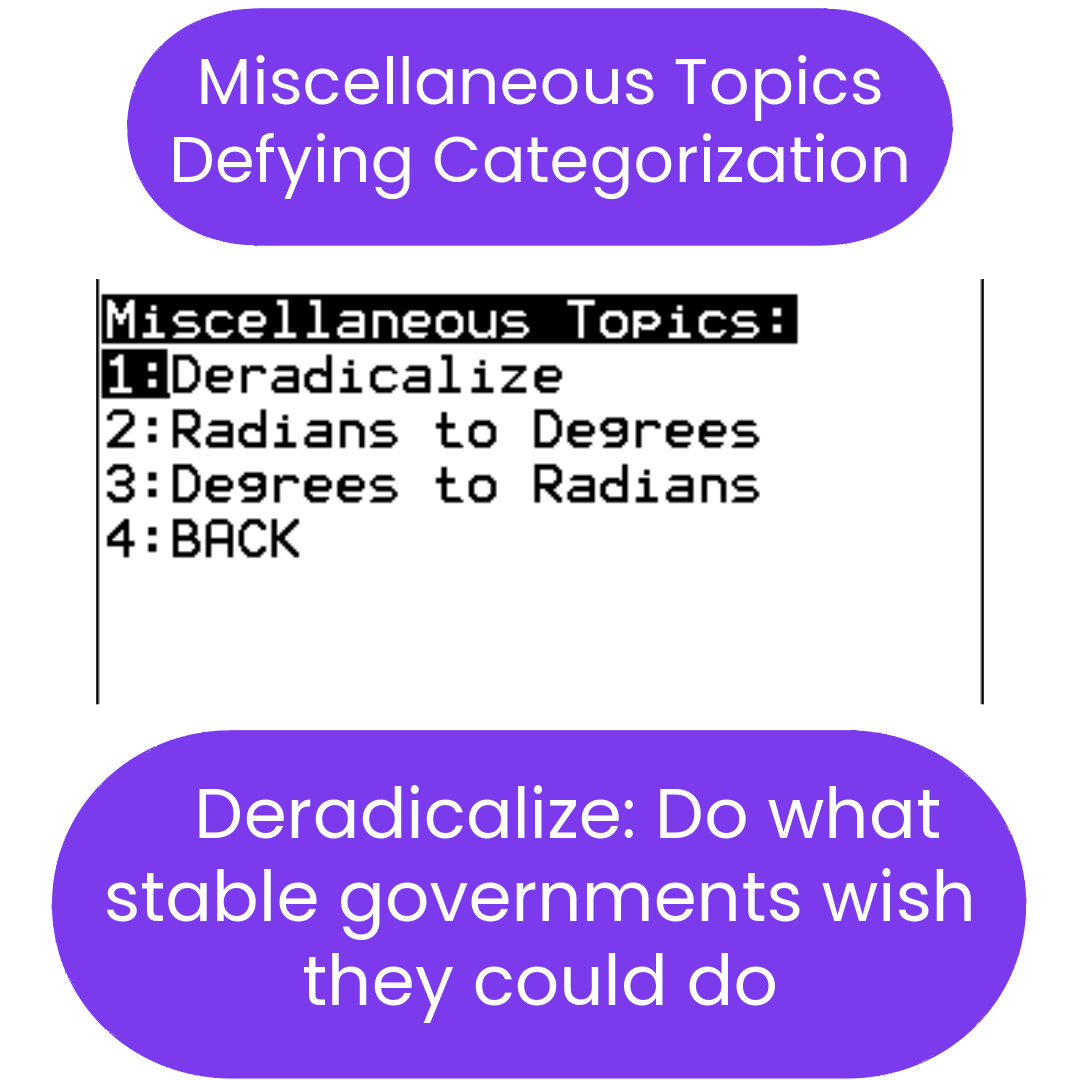 Menu or interface with text options and a humorous comment about stable governments.